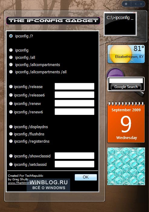 Диагностика проблем с помощью мини-приложения IPConfig Gadget в Windows Vista
