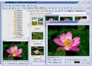 FastStone Image Viewer 4.6 Удобный просмотрщик изображений