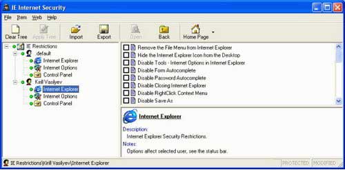 IE Internet Security 7.1