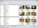 WildBit Viewer 5.0 Final - Программа для просмотра цифровых изображений