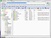 Registrar Registry Manager 5.56 (Professional Edition)